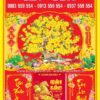 Bìa ép kim Mai Vàng
