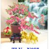 In lịch 5 tờ Cây cảnh