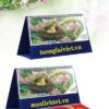 Lịch Để Bàn 13 Tờ Những Ngày Yêu Thương